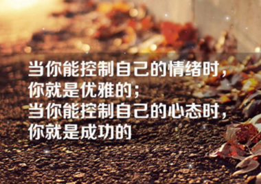 我的老师们-admin散文精选