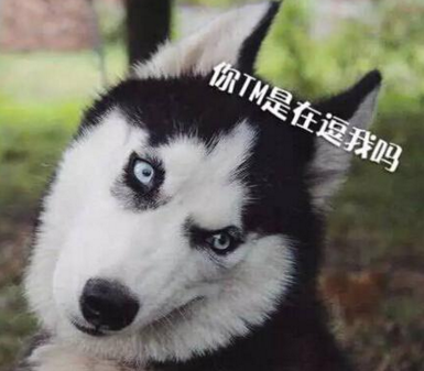 消失的天堂时光-郭敬明散文精选 第1张