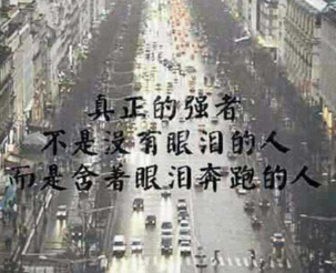 情采第三十一_文心雕龙全诗的意思_上句下句 第1张