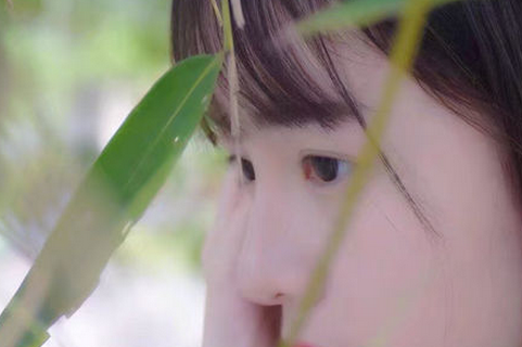定公（元年～十五年）_春秋左传全诗的意思_上句下句 第1张