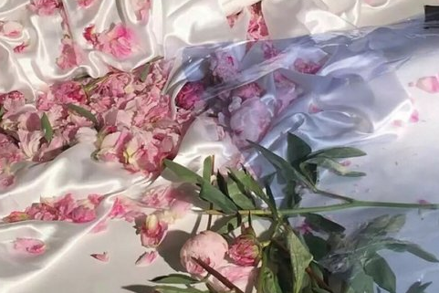 和戎诏下十五年，将军不战空临边全诗的意思_上句下句