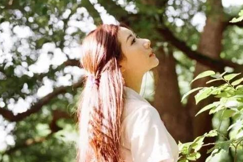 离离原上草，一岁一枯荣全诗的意思_上句下句 第1张