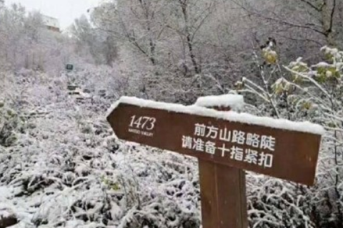 有关春节团圆的古诗句-散文精选 第1张
