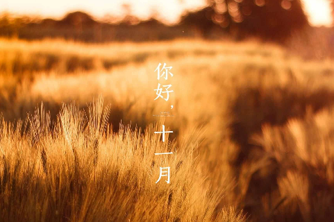 今日岭猿兼越鸟，可怜同听不知愁全诗的意思_上句下句