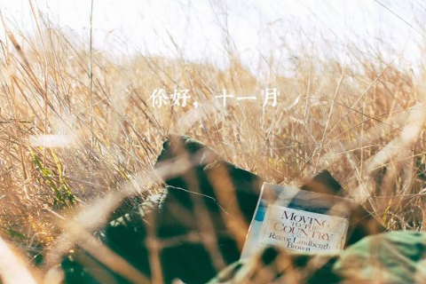 元宵节古诗（精选20首）-散文精选 第1张