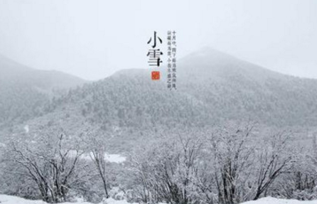 桐花-席慕容散文精选 第1张