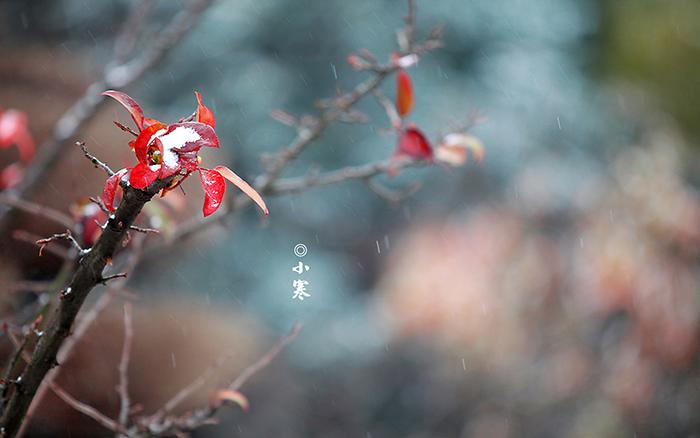 【天净沙·管仲图】原文注释、翻译赏析_古诗大全-散文精选 第1张