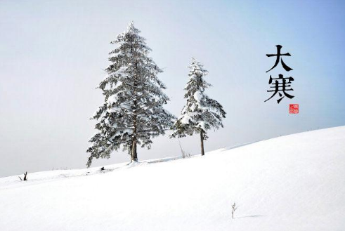 山回路转不见君，雪上空留马行处全诗的意思_上句下句
