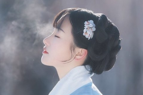 背邙面洛，浮渭据泾。宫殿盘郁，楼观飞惊全诗的意思_上句下句 第1张