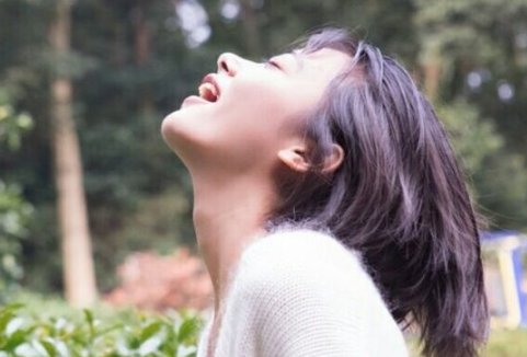 乡心正无限，一雁度南楼全诗的意思_上句下句