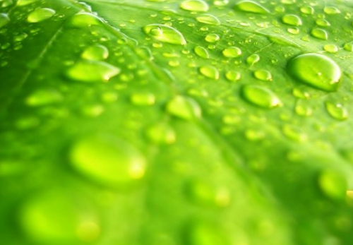 九月十日教师节有趣的祝福 教师节朋友圈说说句子大全