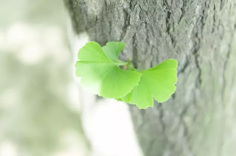 这样的夏天 第1张