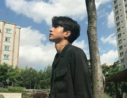 故乡(1)-鲁迅散文精选 第1张
