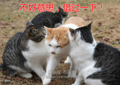 耽读玩市，寓目囊箱。易輶攸畏，属耳垣墙全诗的意思_上句下句 第1张