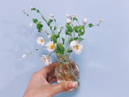 冷梅清竹 第1张