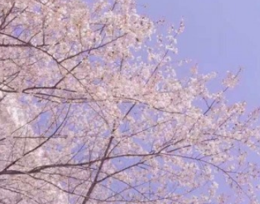 描写景物的古诗句-散文精选 第1张