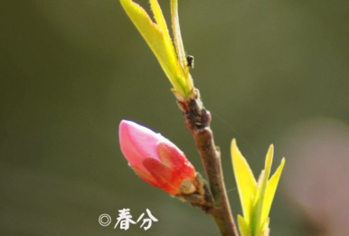 朋友圈说说诗句 冷门却好听的诗句 第2张