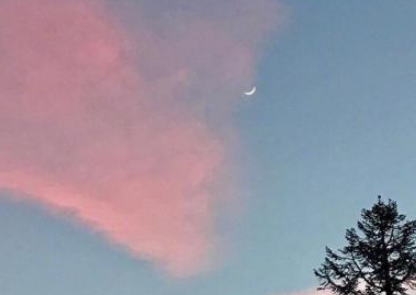 南州溽暑醉如酒，隐几熟眠开北牖全诗的意思_上句下句 第1张