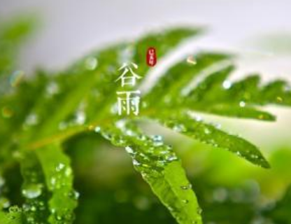 8月15祝福语有哪些送长辈怎么说 第2张