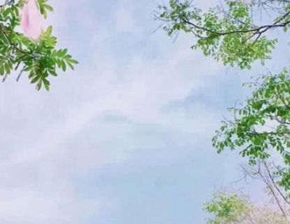 5月你好图片 第3张