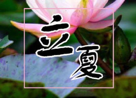 文学与牛-莫言散文精选