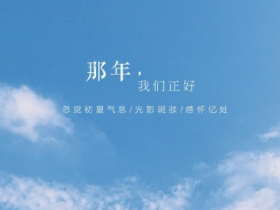 舒婷诗集-舒婷散文精选