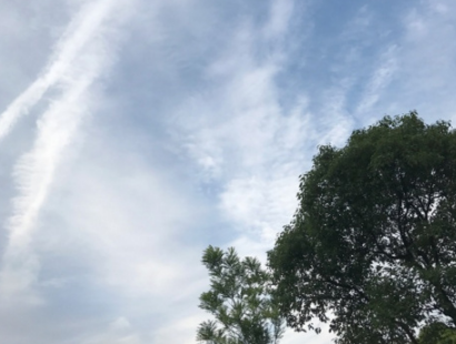 今天是小寒说说 第3张