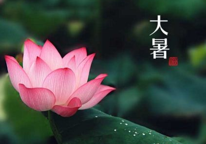 表示保护眼睛的精彩段落优美句子 第1张