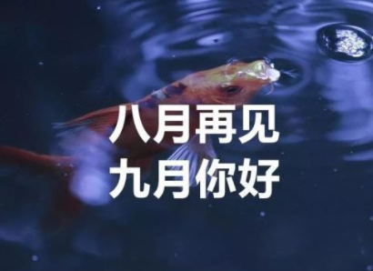 军训最后煽情的话 军训完回到家家里没开灯 第1张