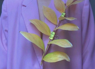 老伯母强作周旋话　恶洋奴欺凌同族人全诗的意思_上句下句 第1张