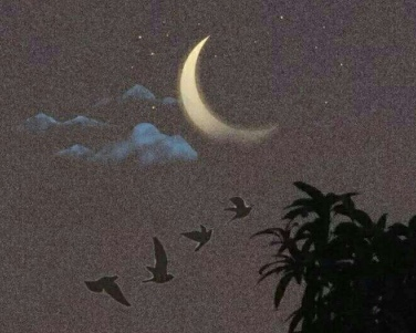 女生节祝福 第3张