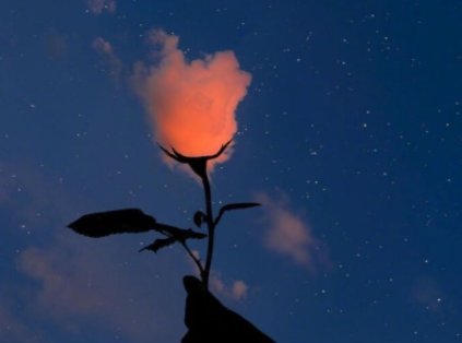 女生节怎么微信送祝福 第1张