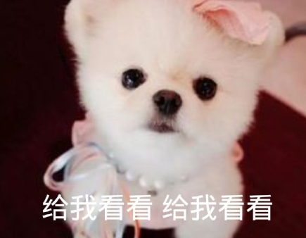 劳动节搞卫生说说 第1张