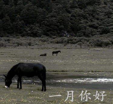 女儿给三八妇女节祝福的话 第1张