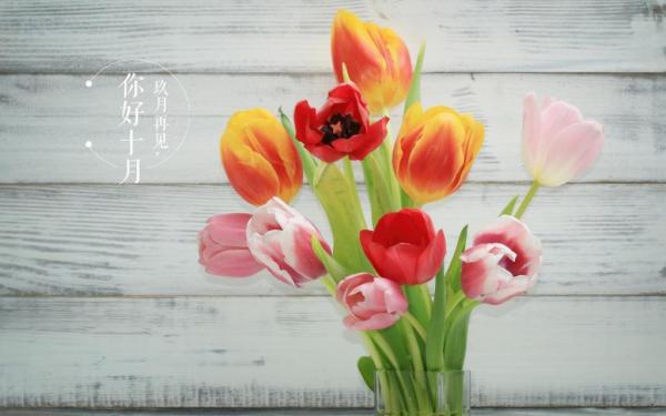 疫情期间怎样祝福春分快乐 第2张