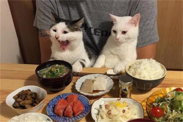 保护眼睛的说说