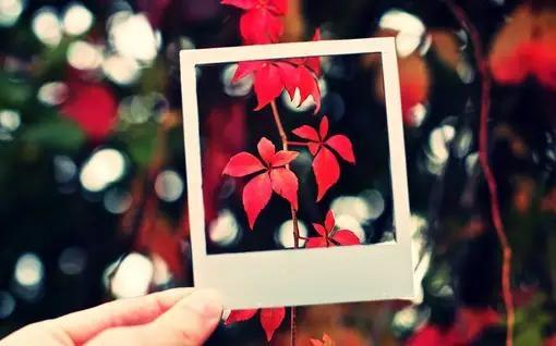 情人节晚上警察说说 第3张 情人节晚上警察说说 第3张