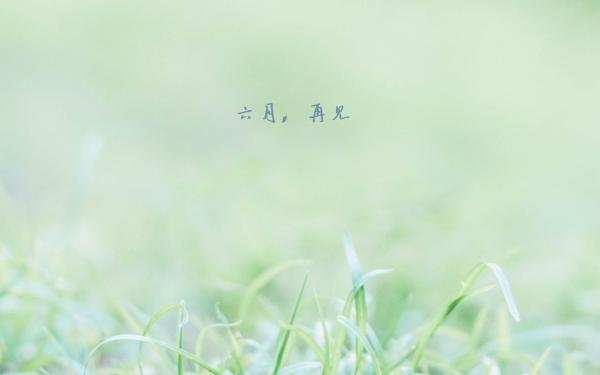 关于七月的风八月的雨唯美说说：我还有梦，我不能倒唯美说说