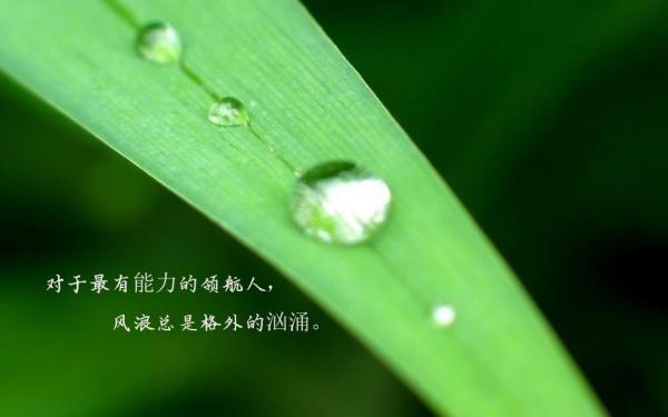 雨水祝福语2022 第2张