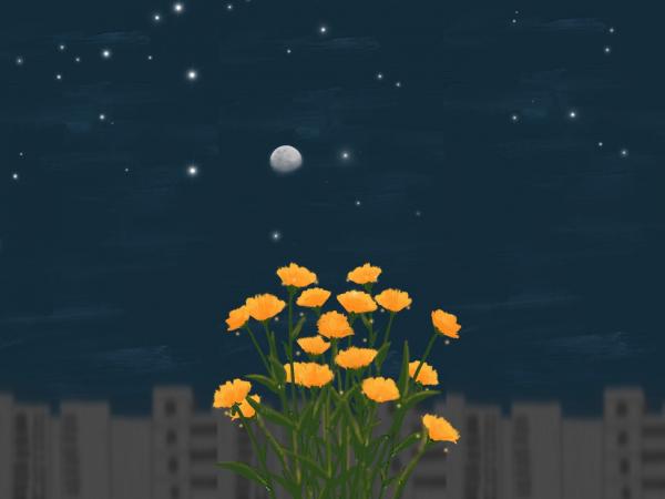 七夕情人节不开心的说说 第2张