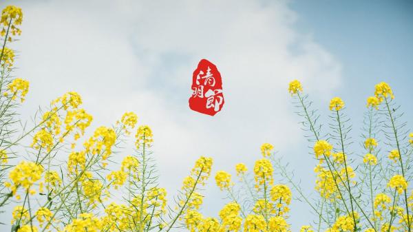 3.7女生节祝福语500字 写给女生节的贺卡祝福语 第1张