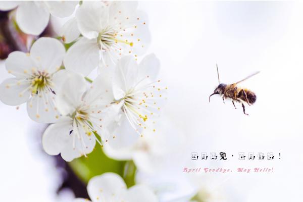 小年发朋友圈唯美说说