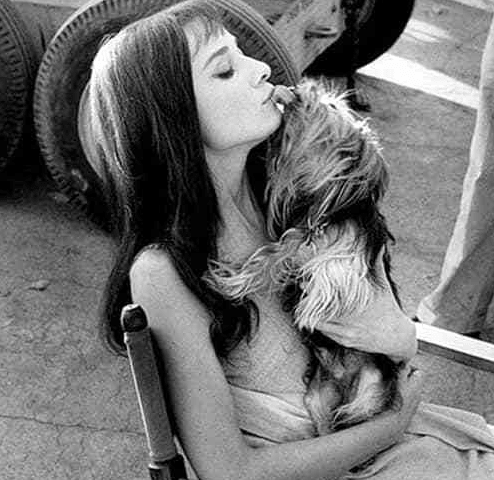 爱国情怀的古诗 关于爱国的诗句 第2张 爱国情怀的古诗 关于爱国的诗句 第2张