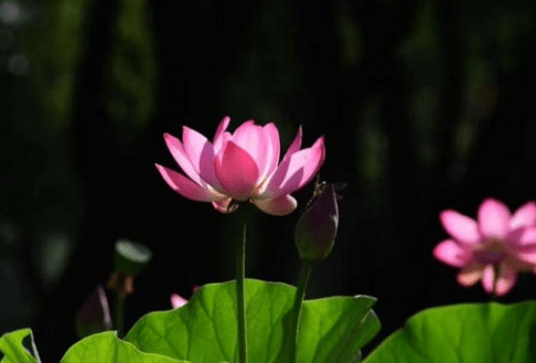 三月朋友圈 告别2月迎接3月心情说说