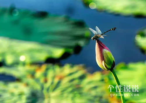 2022愚人节恶搞说说排行榜 第1张