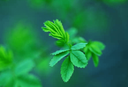 告别七月迎接八月的人生感悟说说 第2张
