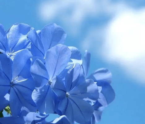 白色情人节发红包祝福语 第2张