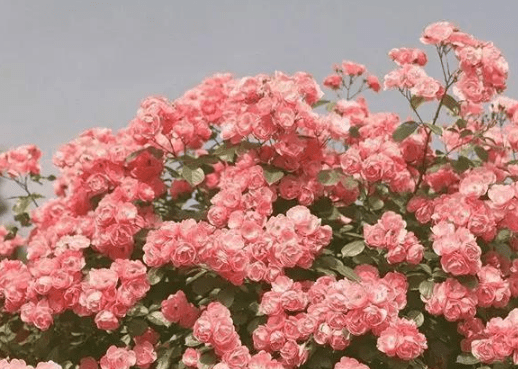 韵达快递祝福三八妇女节 第1张