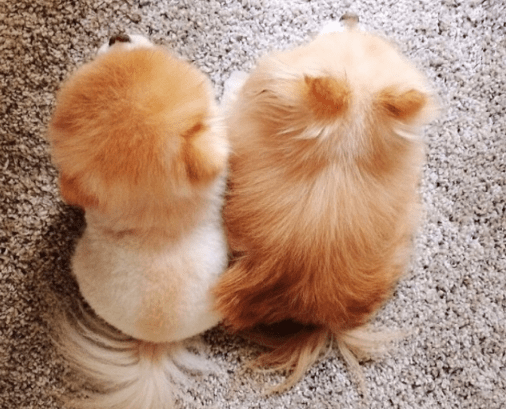 美发后的朋友圈说说文案 剪头发的说说伤感说说