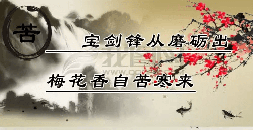 简短而又温暖的情话大全 第2张
